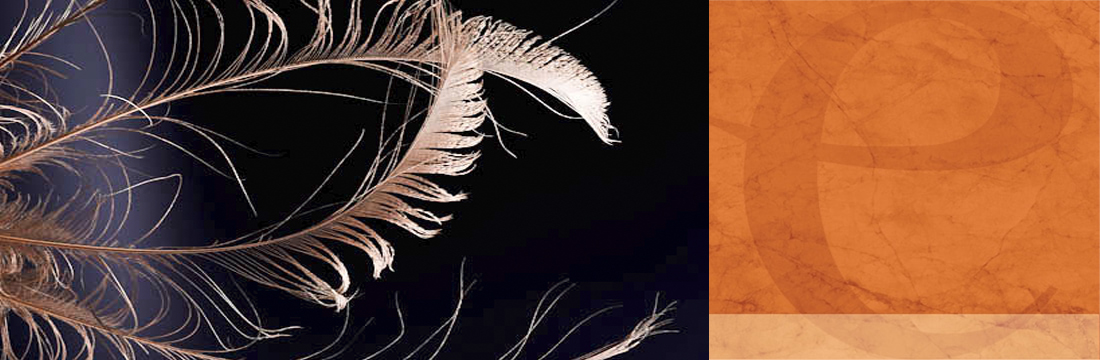 Piume-Dipinte Piume-Dipinte